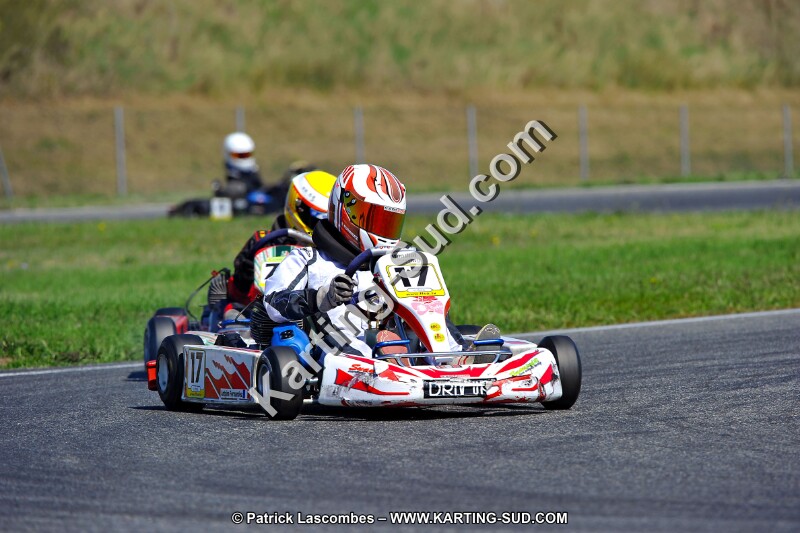DSC_ (1326).jpg